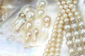 Pearl necklace with natural pearls in a oyster shell Royalty Free Stock Photo