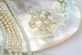 Pearl necklace with natural pearls in a oyster shell Royalty Free Stock Photo