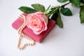 Pearl necklace on rose velvet box and pink one rose. Light background