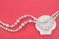 Pearl necklace and seashell on pink background Royalty Free Stock Photo