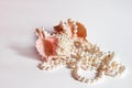 Pearl necklace and seashells Royalty Free Stock Photo