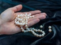 Pearl necklace on the woman's hand Royalty Free Stock Photo