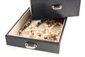 Pearl necklaces in a black jewelry box Royalty Free Stock Photo