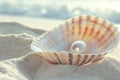 Pearl Nestled in Seashell on Sunny Beach Sands Royalty Free Stock Photo