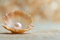 Pearl in Open Seashell on Sandy Beach Background. Royalty Free Stock Photo