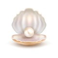 Pearl open shell realistic illustration. Natural beautiful single pearl sea jewelry