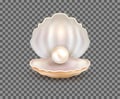 Pearl open shell realistic illustration. Natural beautiful single pearl sea jewelry isolated Royalty Free Stock Photo