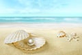 Pearl in an open shell. Sandy tropical beach. Royalty Free Stock Photo