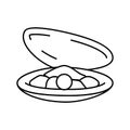 pearl oyster shell line icon vector illustration Royalty Free Stock Photo