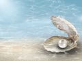 Pearl in oyster shell underwater background Royalty Free Stock Photo