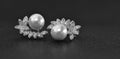 Pearl is a real pearl jewelry. Beautiful, rare and expensive