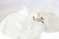 Pearl Ring Jewel in Crystal Sugar Royalty Free Stock Photo