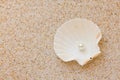 Pearl in sea shell Royalty Free Stock Photo