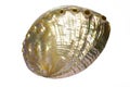 Pearl seashell 1 Royalty Free Stock Photo