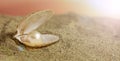 Pearl in a seashell on the beach Royalty Free Stock Photo