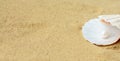 Pearl on the seashell on the sand . Treasure from the sea . Banner.Copy space for text