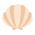 Pearl shell flat illustration on white