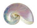 Pearl shell of a nautilus. Royalty Free Stock Photo