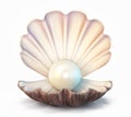 Pearl shell