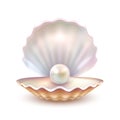 Pearl Shell Realistic Close Up Image Royalty Free Stock Photo