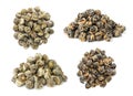 Pearl style premium Chinese teas, collection of Pearl Jasmine and Fujian black tea loose leaves isolated on white