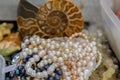 Pearl thread on the background of a seashell. A close-up photo on a light background, the concept of jewelry and wealth Royalty Free Stock Photo