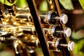 Pearl valves of a trumpet Royalty Free Stock Photo