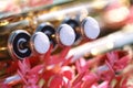 Pearl valves of a trumpet Royalty Free Stock Photo