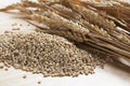 Pearled Barley Royalty Free Stock Photo