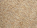 Pearled barley flat food background Royalty Free Stock Photo