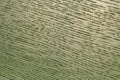 Pearlescent green paint polish. Ð¡lose-up Oak Texture with natural wood grain patterns. Smooth wooden surface for the design of Royalty Free Stock Photo