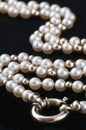 Pearls Royalty Free Stock Photo