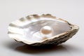 The pearls in the mussel shell on white background. Close up of a pearl nestled inside a oyster shell Royalty Free Stock Photo