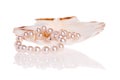 Pearls necklace Royalty Free Stock Photo