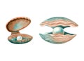 Pearls in open sea shells watercolor illustration set. Hand drawn freshwater pearl mussels in orange and blue green Royalty Free Stock Photo