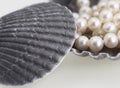 Pearls and sea shells Royalty Free Stock Photo