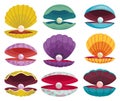 Pearls in seashell. Open seashell scallop and pearl shell icon set in various form and colors. Beautiful pearl in clam Royalty Free Stock Photo