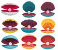 Pearls in seashell. Open seashells scallop and pearl shell icons set in various form and colors. Beautiful pearls in Royalty Free Stock Photo