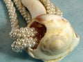 Pearls and shell Royalty Free Stock Photo