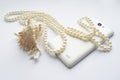 Photography in shades of white with a marine theme. A photograph of a seashell, a pearl necklace, and a white mobile phone Royalty Free Stock Photo