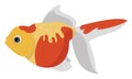Pearlscale goldfish, illustration, vector