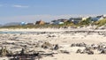 Kelp on the beach - Pearly beach - South Africa Royalty Free Stock Photo