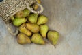 Pears on a wooden background. Fruit harvest. Autumn still life. Pear variety Bera Conference. Royalty Free Stock Photo