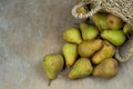 Pears on a wooden background. Fruit harvest. Autumn still life. Pear variety Bera Conference. Royalty Free Stock Photo