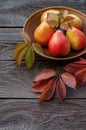 Autumn harvest of pears. dark background of wooden boards.