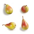 Pears Close-Up, Four Whole, Arranged Ã¢â¬â Bunch of Green Italian Cultivar `Pera Coscia` Pyrus Communis