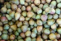 Pears fruit vitamine freshness vegetarian Royalty Free Stock Photo