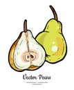 Pears fruits vector isolate. Green pear whole chopped half cut slice hand drawn illustration vegetarian icon logo sketch