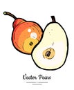 Pears fruits vector isolate. Red pear whole chopped half cut slice hand drawn illustration vegetarian icon logo sketch Royalty Free Stock Photo