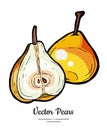 Pears fruits vector isolate. Red pear whole chopped half cut slice hand drawn illustration vegetarian icon logo sketch